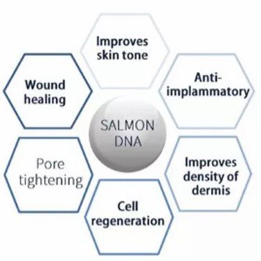 salmon dna pdrn salmon dna